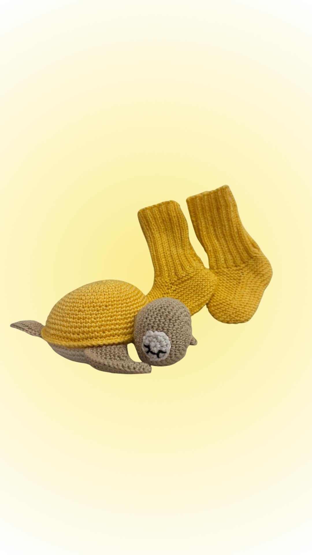 Bundle nascita tartaruga dolci sogni