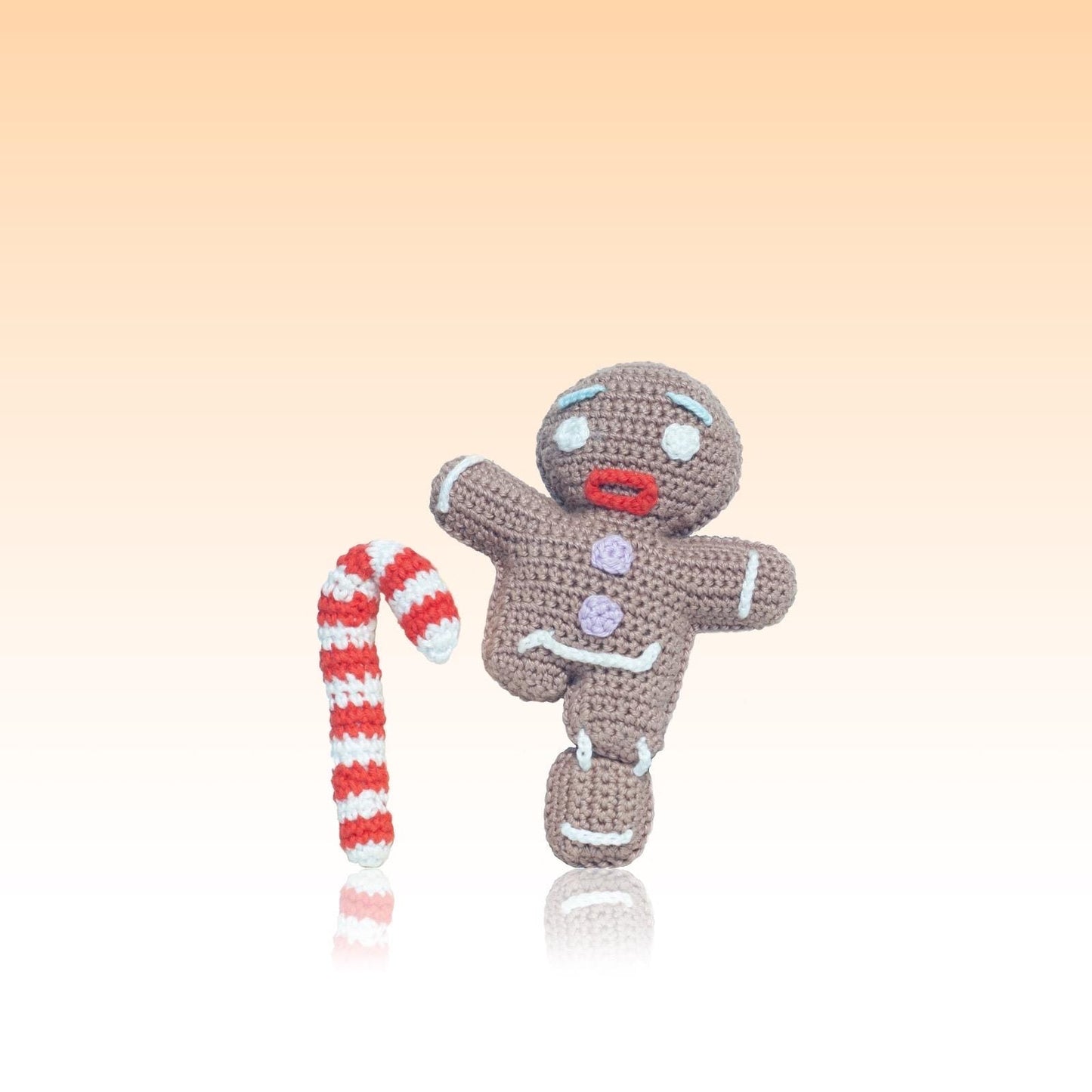 Dolce Magia: L’Omino di Pan di Zenzero di Shrek -Gingerbread