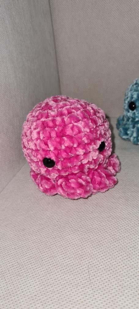 Little octopus in the sea