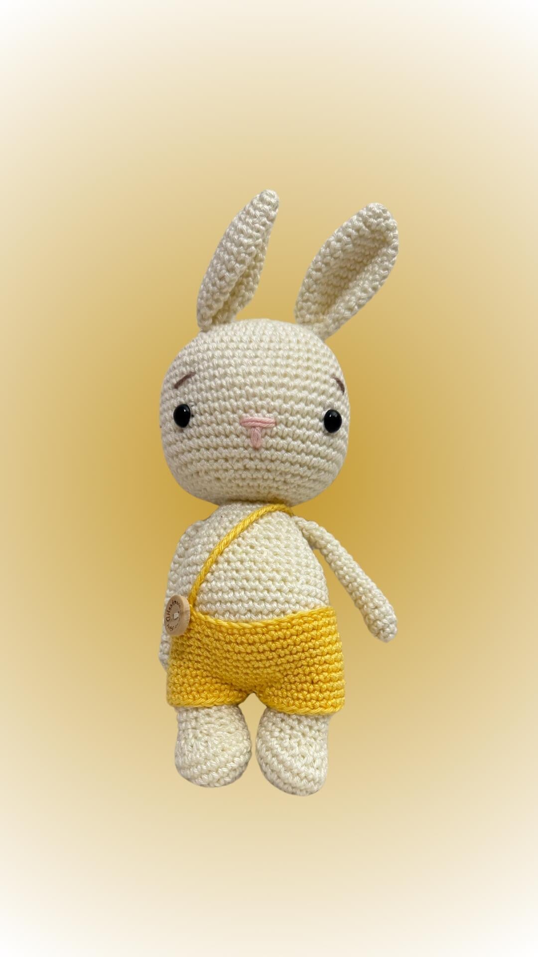 Coniglietto amigurumi dolci sogni e catenella porta ciuccio abbinata
