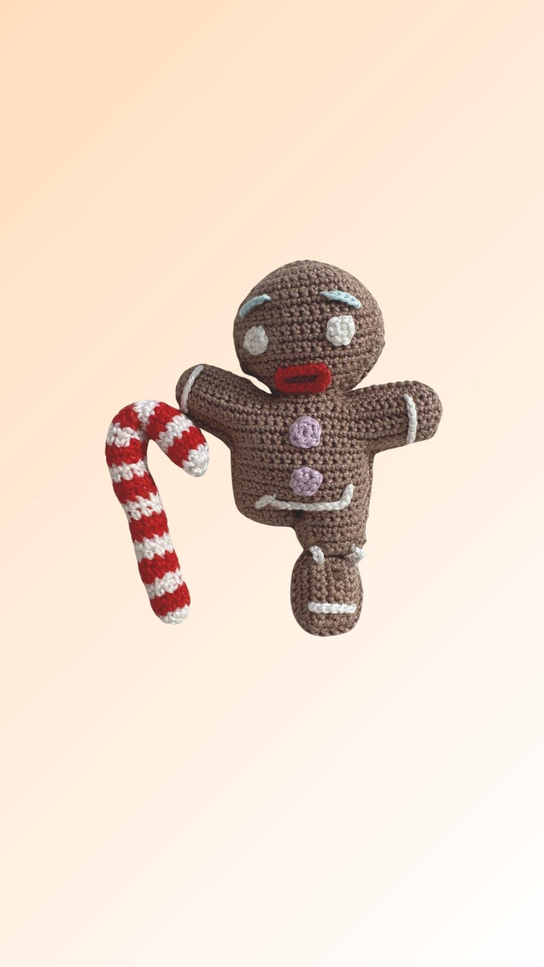 Dolce Magia: L’Omino di Pan di Zenzero di Shrek -Gingerbread